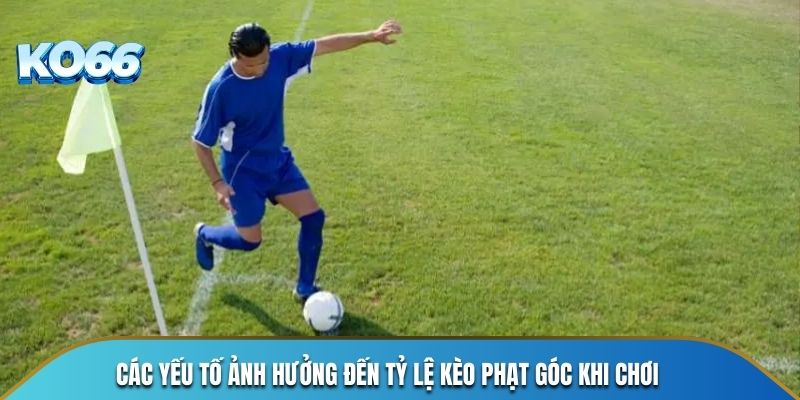 Các yếu tố ảnh hưởng đến tỷ lệ kèo phạt góc khi chơi