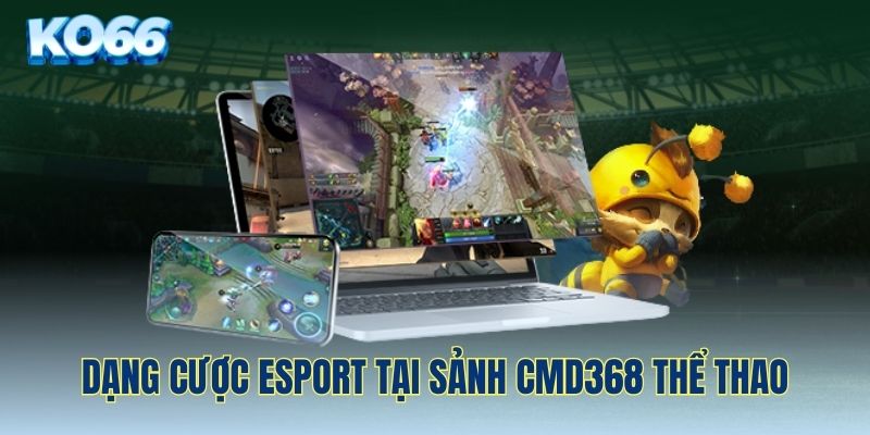 Dạng cược Esport hấp dẫn của thương hiệu thể thao CMD368