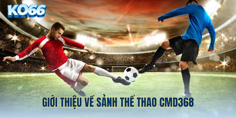 Giới thiệu về CMD368 - Sảnh thể thao KO66 nổi tiếng