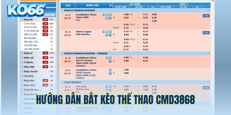 Khám phá cách thức bắt kèo cực dễ trong sảnh CMD368 KO66